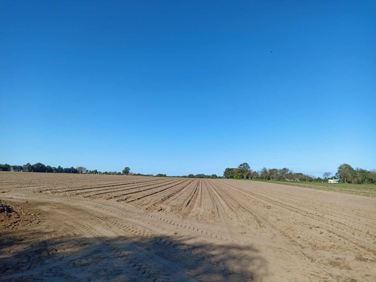 Campo de 6 Hectareas en venta en Santa Rosa de Calchines 