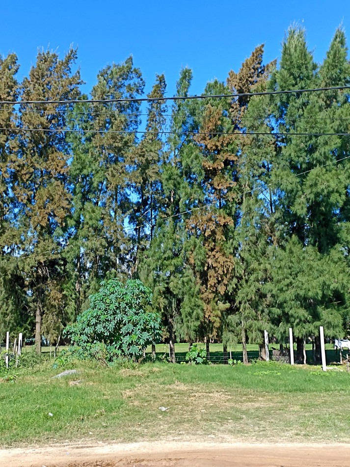 Terreno en venta en Santa Rosa de Calchines 