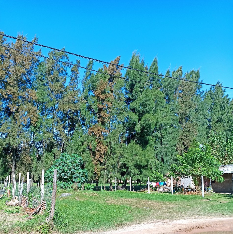 Terreno en venta en Santa Rosa de Calchines 