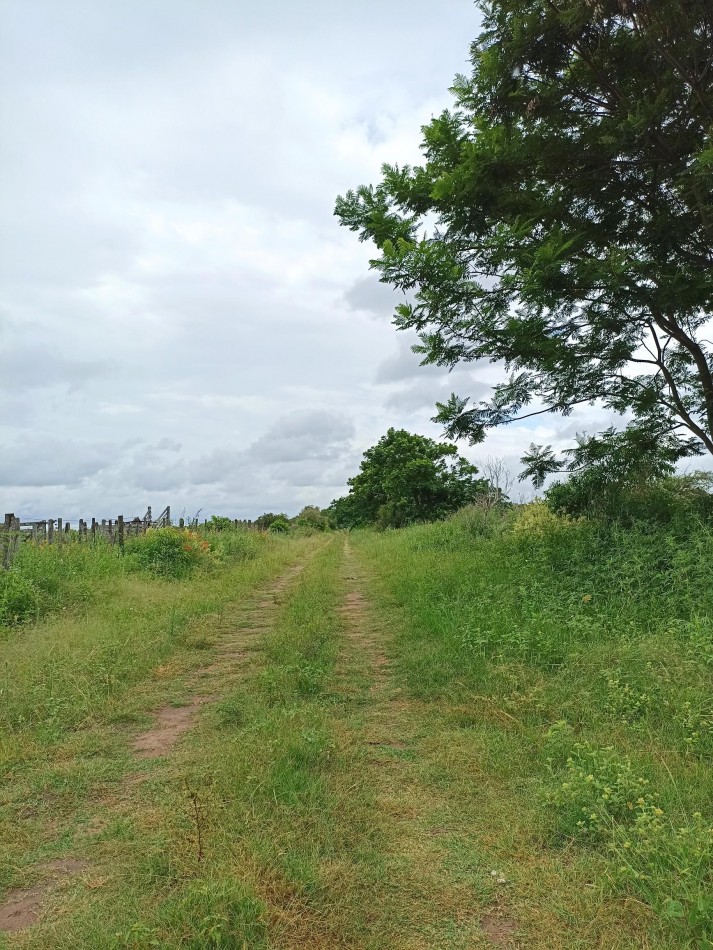 Campo de 2 Hectareas en venta en Cayasta 