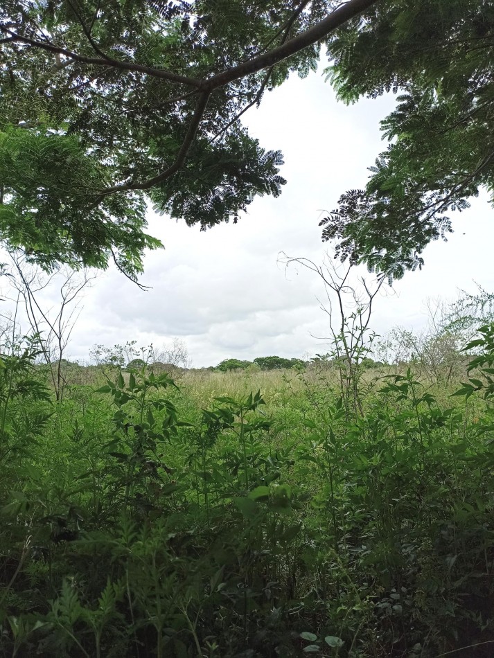 Campo de 2 Hectareas en venta en Cayasta 