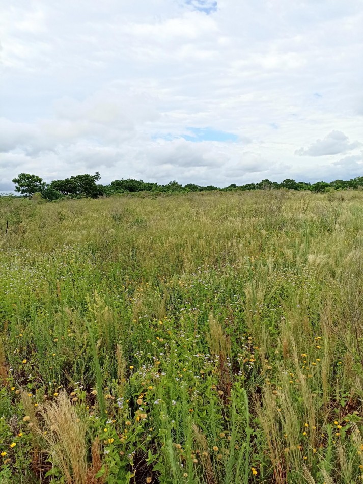 Campo de 2 Hectareas en venta en Cayasta 