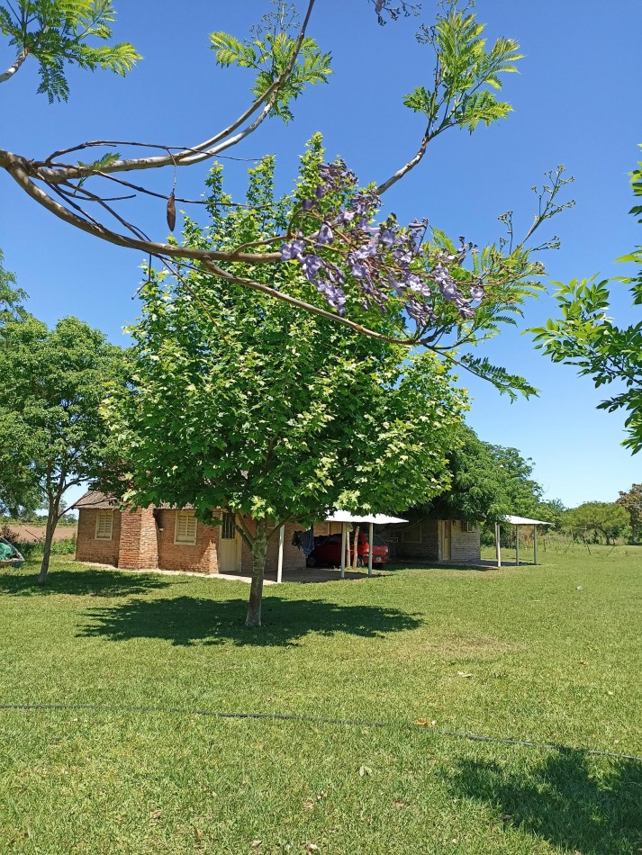 3 Hectareas en venta con vista al rio en Helvecia 