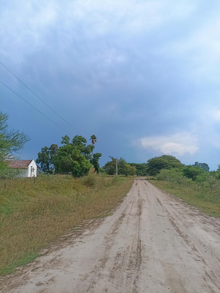 Campo de 40 Has ganaderas