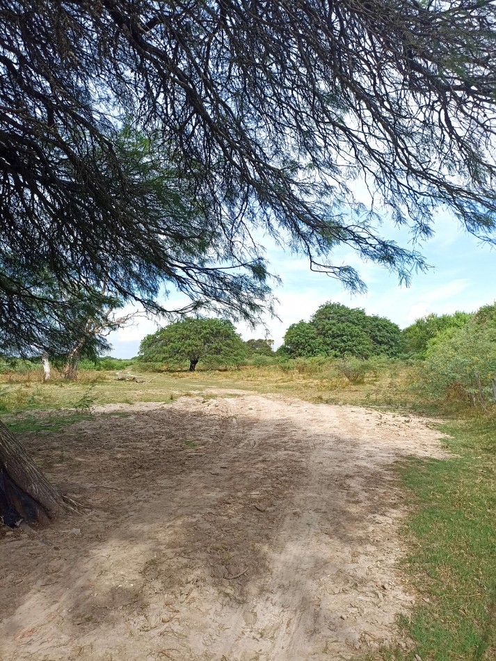 Campo de 40 Has ganaderas