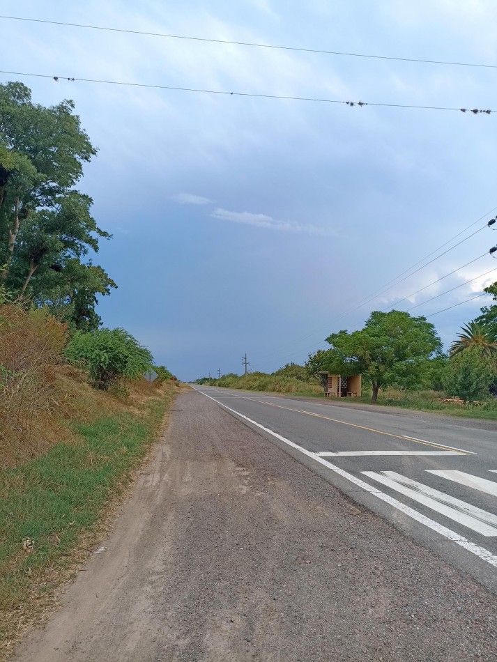 Campo de 40 Has ganaderas