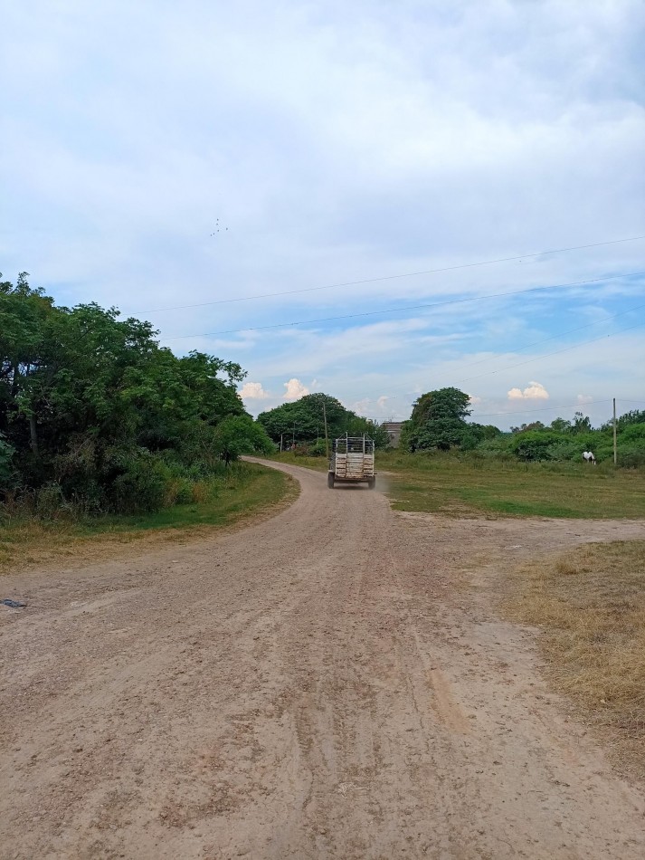 Campo de 40 Has ganaderas