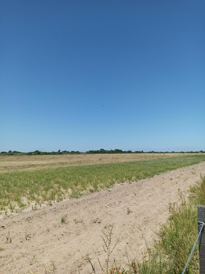 Campo de 13,6 Hectareas en venta 