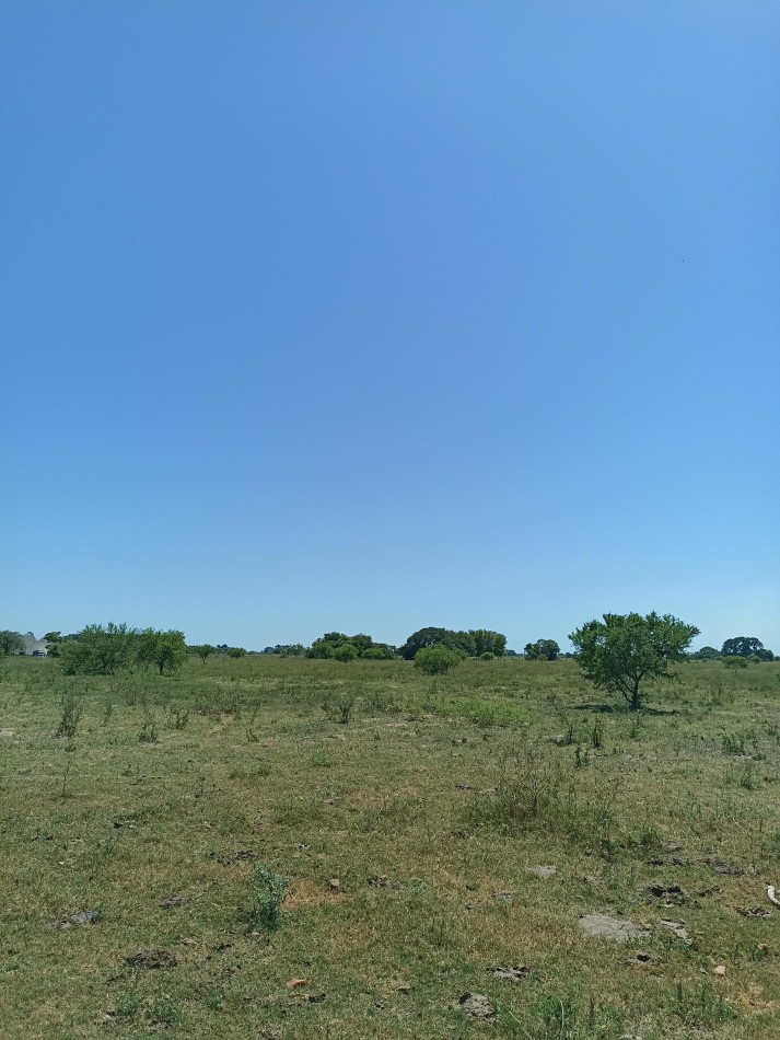 Campo de 13,6 Hectareas en venta 