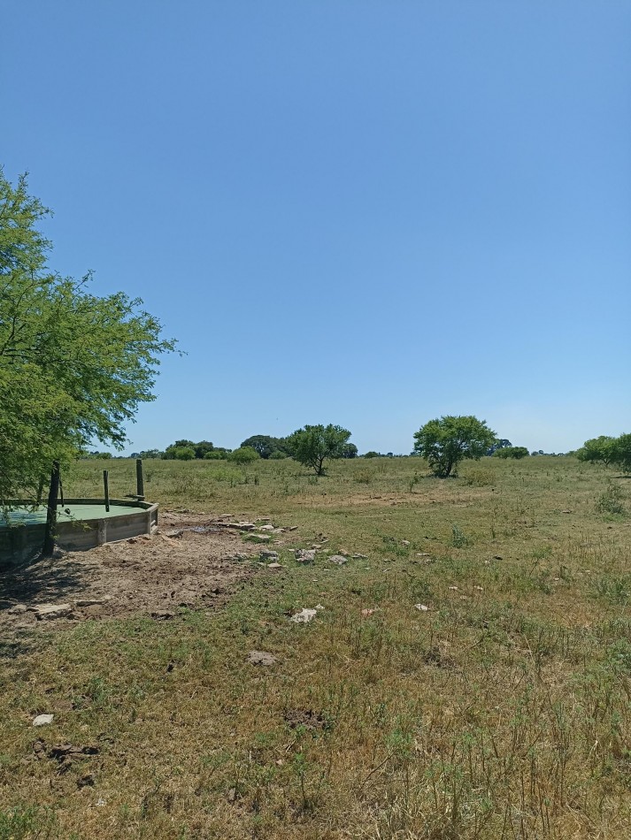 Campo de 13,6 Hectareas en venta 
