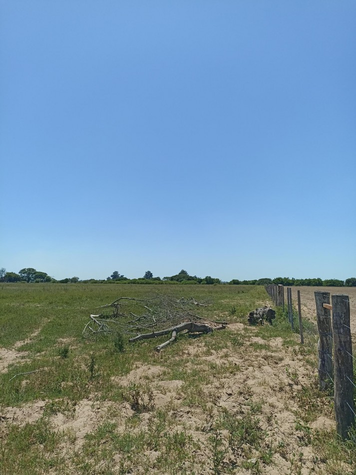 Campo de 13,6 Hectareas en venta 