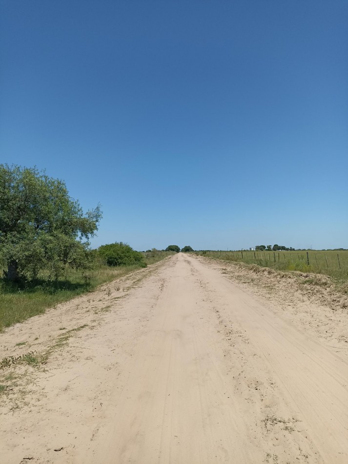 Campo de 13,6 Hectareas en venta 