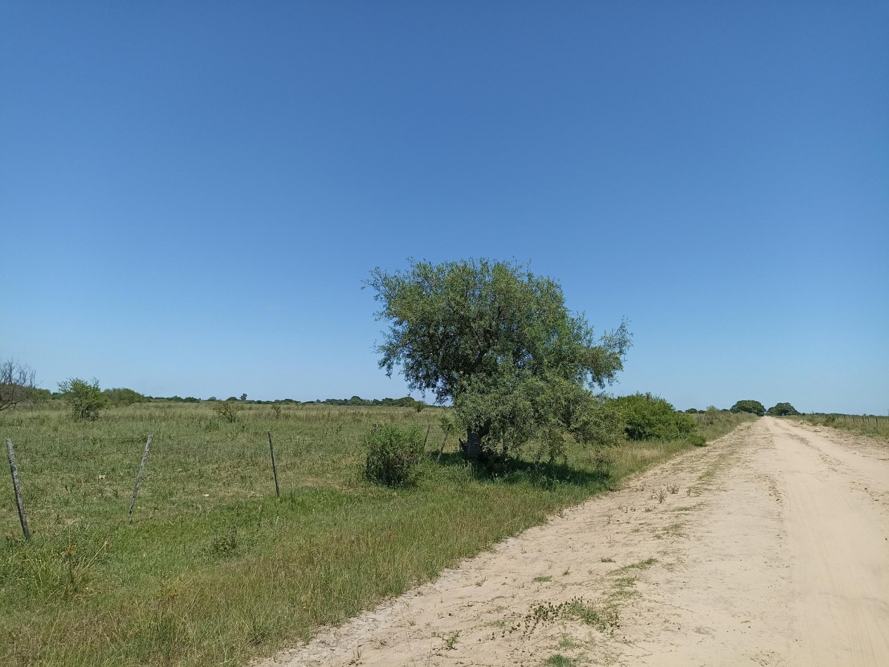 Campo de 13,6 Hectareas en venta 