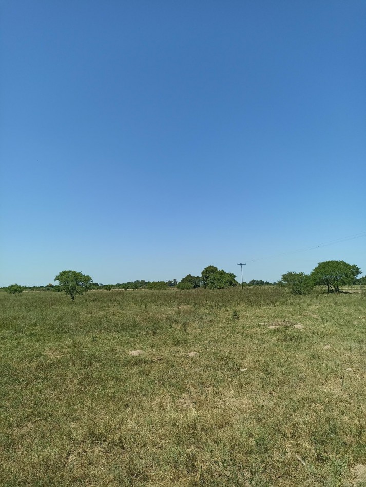 Campo de 13,6 Hectareas en venta 