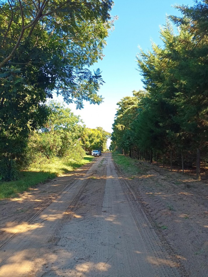 Terreno en venta en Cayasta 