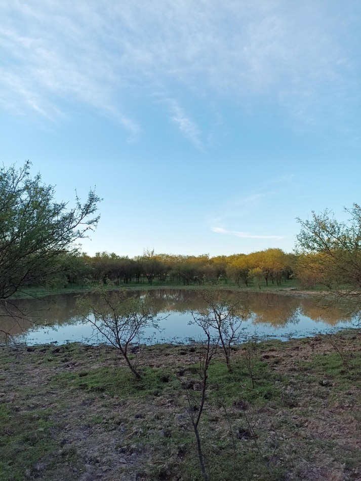 Campo en venta en Helvecia 