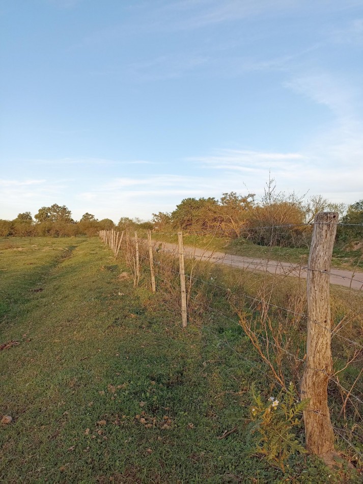 Campo en venta en Helvecia 