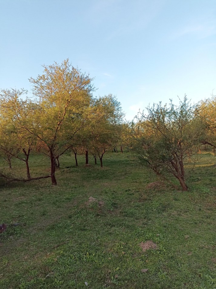 Campo en venta en Helvecia 