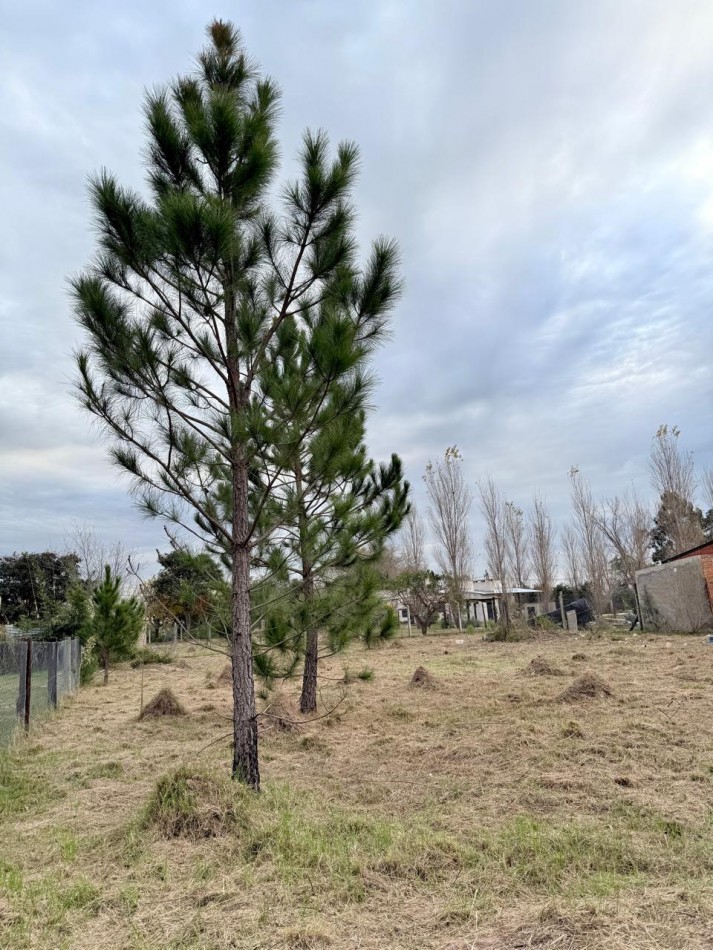 Terreno en venta en Rincon 