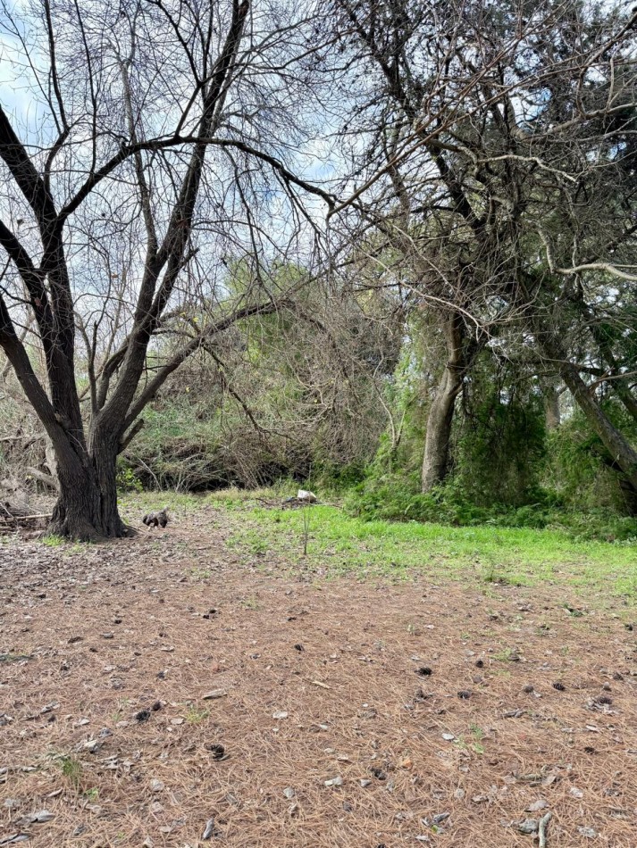 Casa en venta con gran terreno en Arroyo Leyes