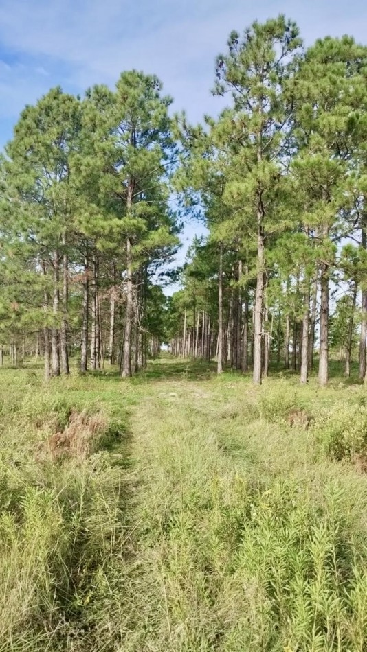 Terreno en venta en Helvecia 