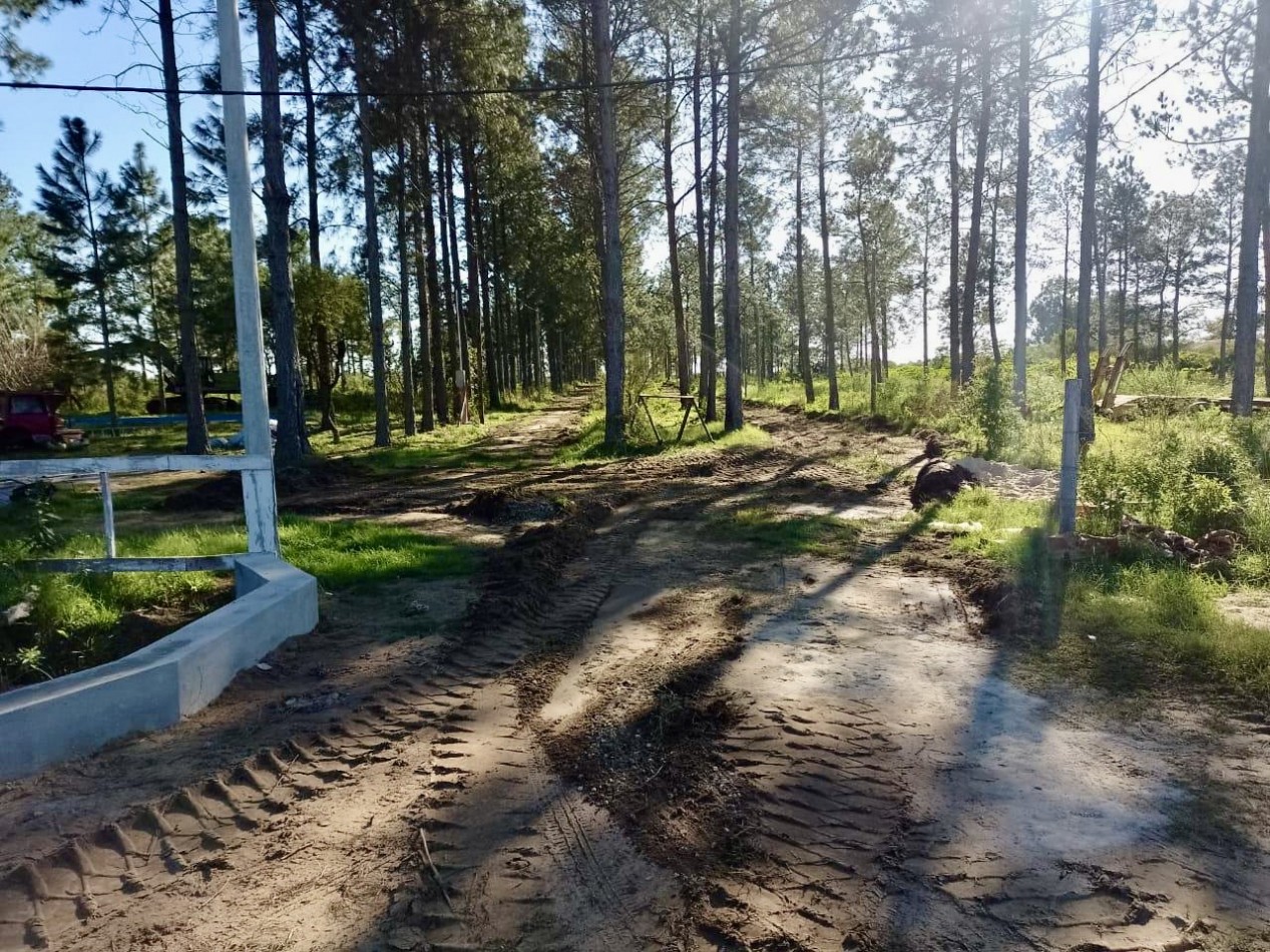 Terreno en venta en Helvecia 