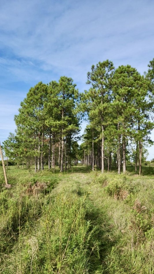 Terreno en venta en Helvecia 