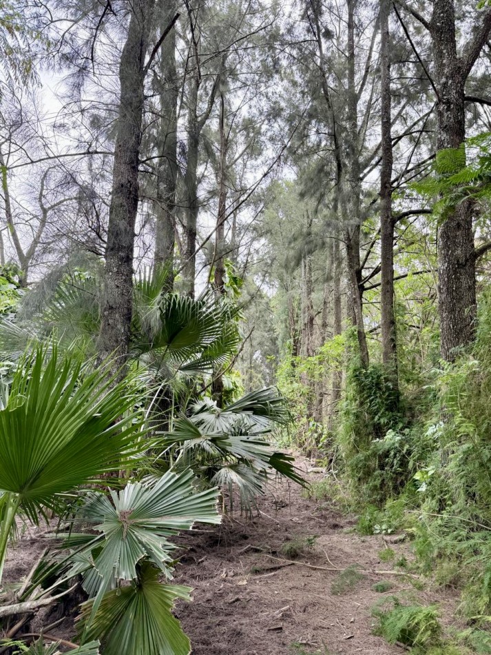 Terreno en venta en Arroyo Leyes