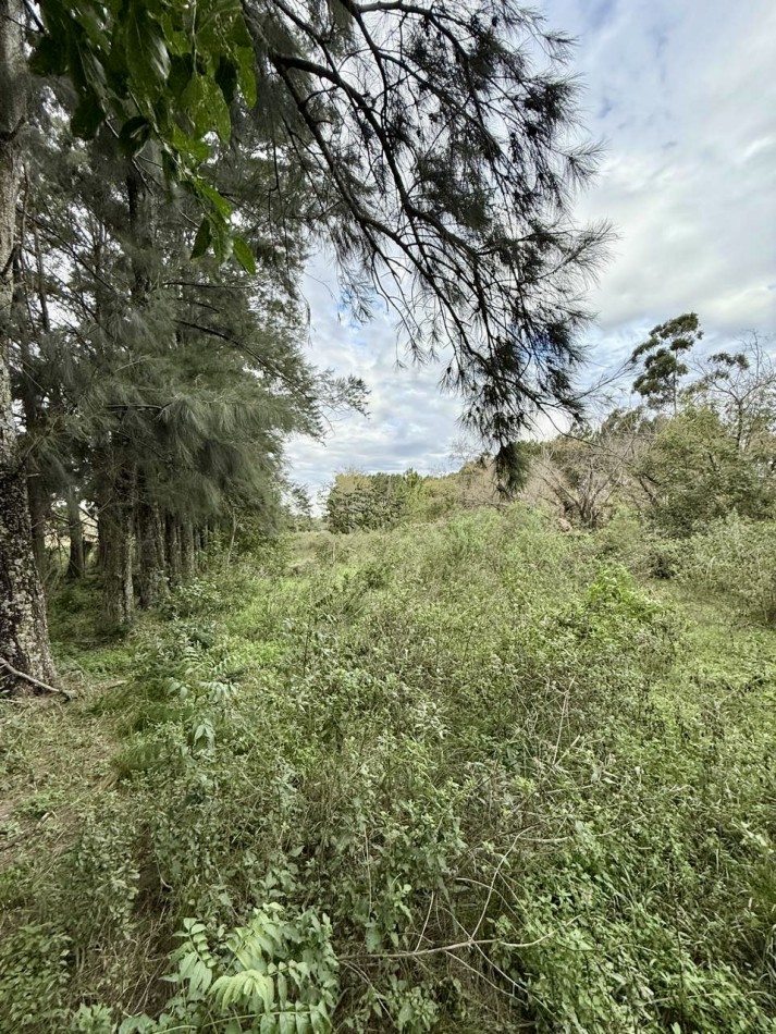 Campo en venta en Arroyo Leyes