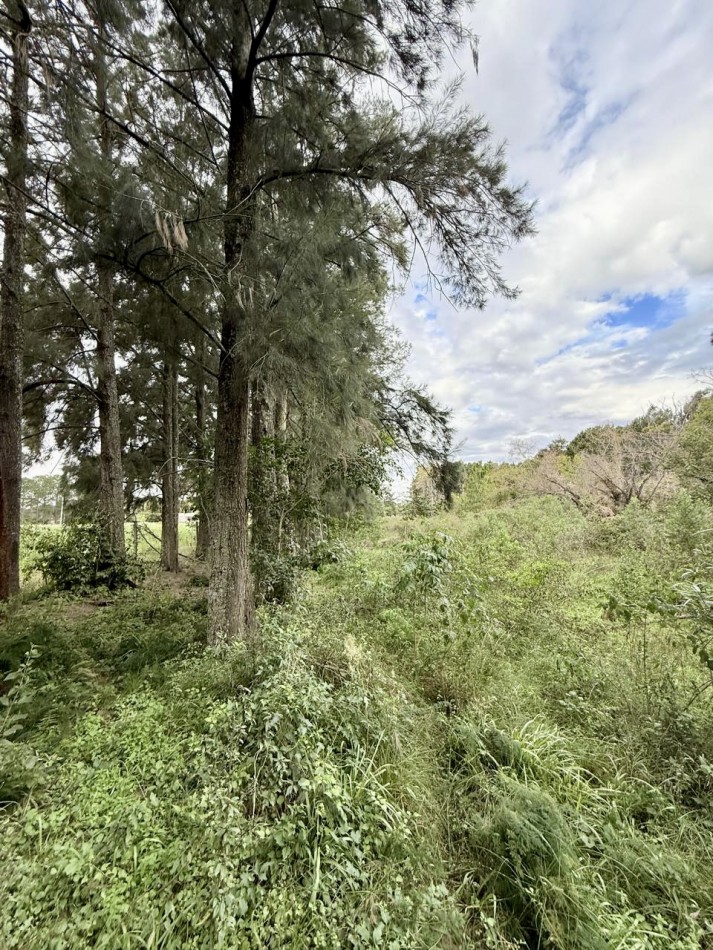Campo en venta en Arroyo Leyes