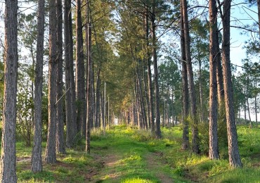 Terrenos en venta en Helvecia