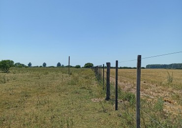 Campo de 13,6 Hectareas en venta 