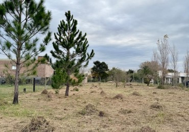 Terreno en venta en Rincon 