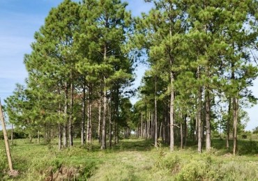 Terreno en venta en Helvecia 